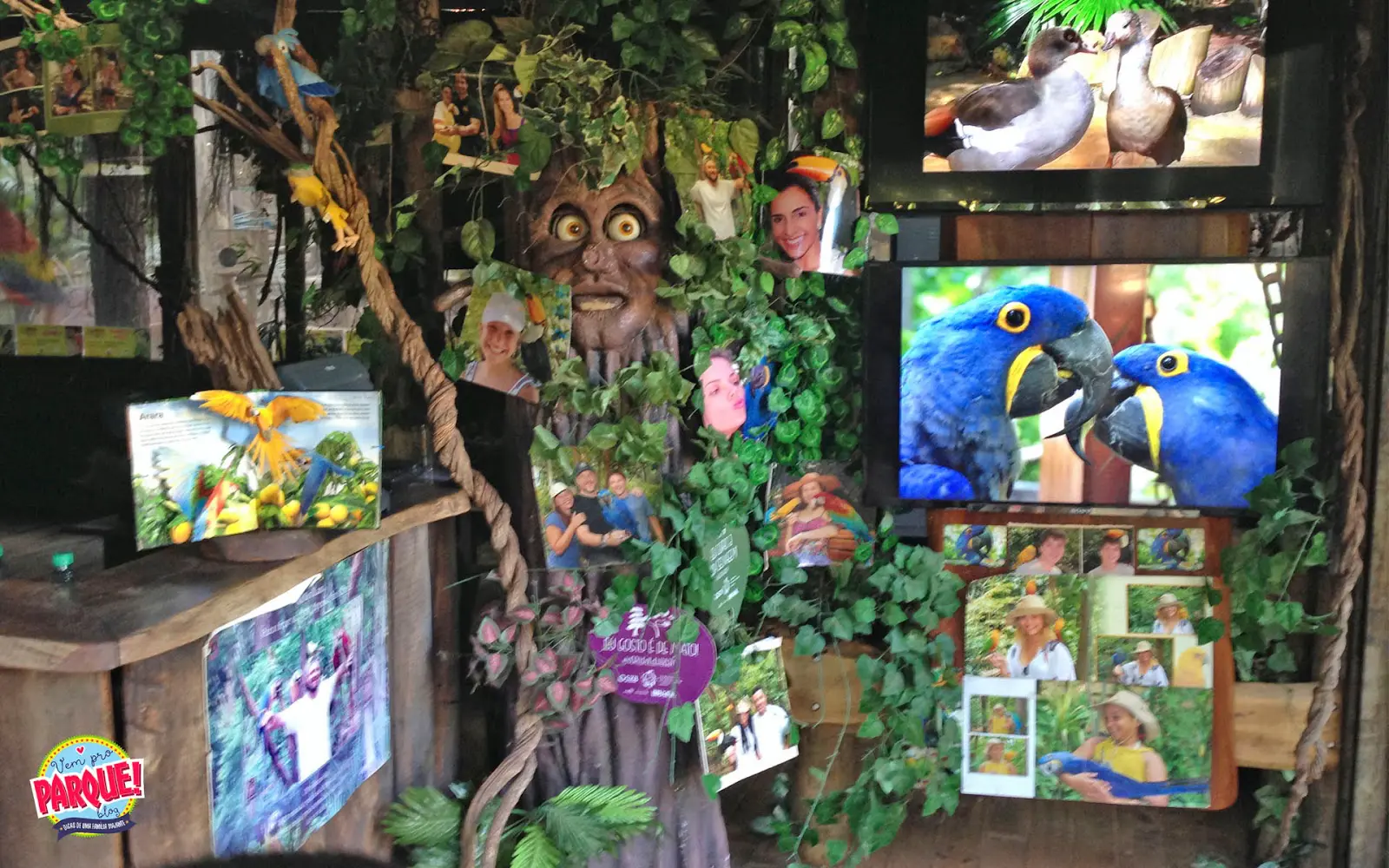 bird land hot park rio quente resorts aves