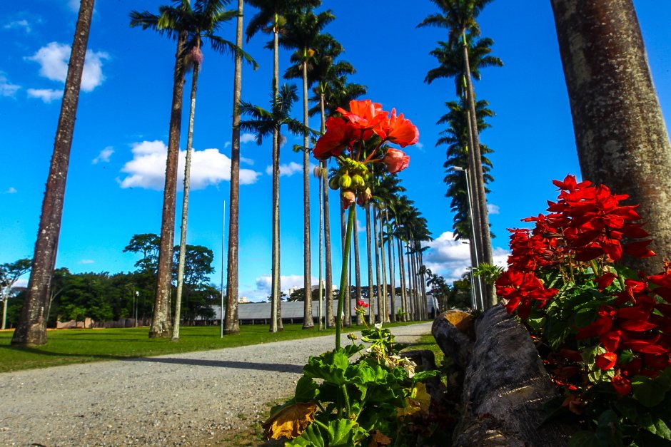 5 lugares para visitar em São José dos Campos na Primavera