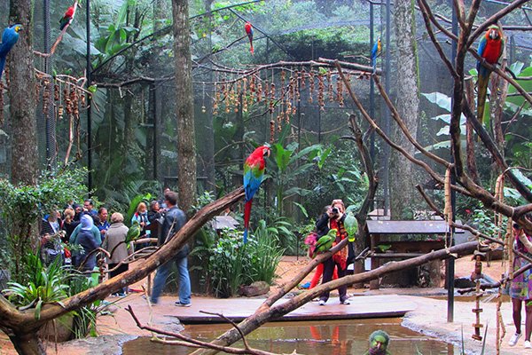 Parque das Aves Foz do Iguaçu