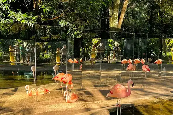 Parque das Aves Foz do Iguaçu