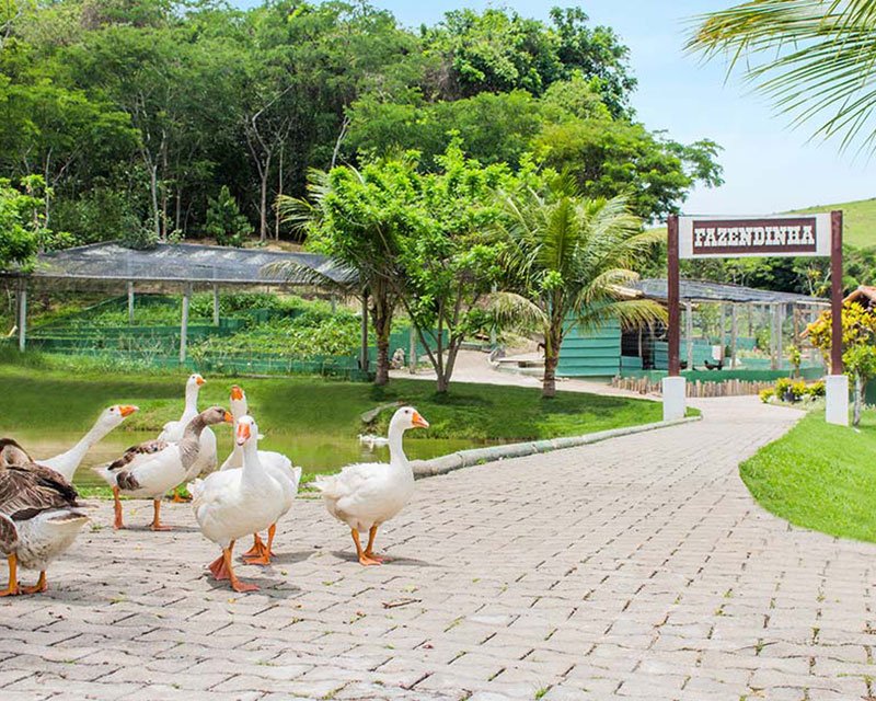 Aldeia das Águas Park