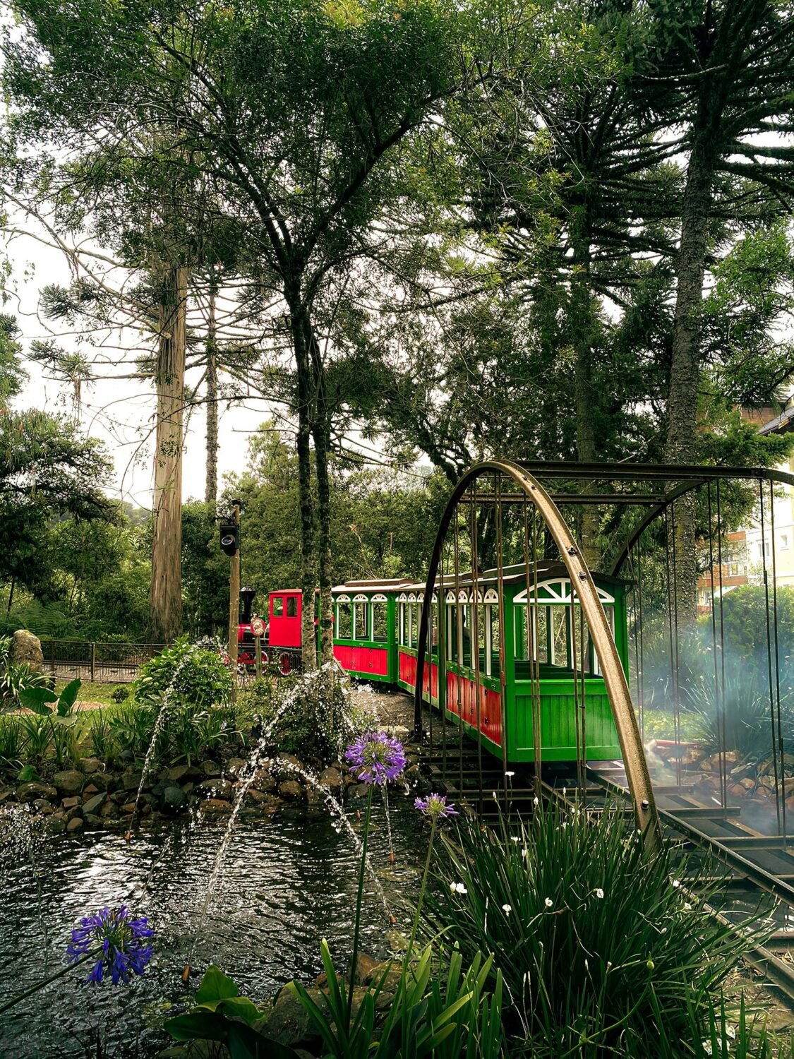 família no passeio de trem do Mundo a Vapor Canela com vegetação da Serra Gaúcha