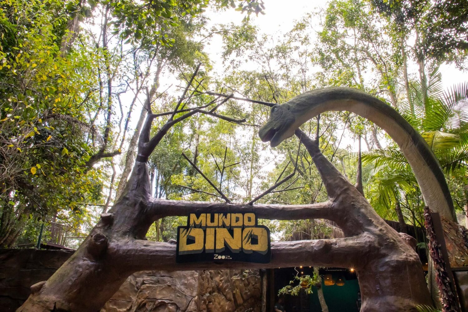 Contato com a natureza marca roteiro de férias no Zoo São Paulo, Simba Safari e Jardim Botânico