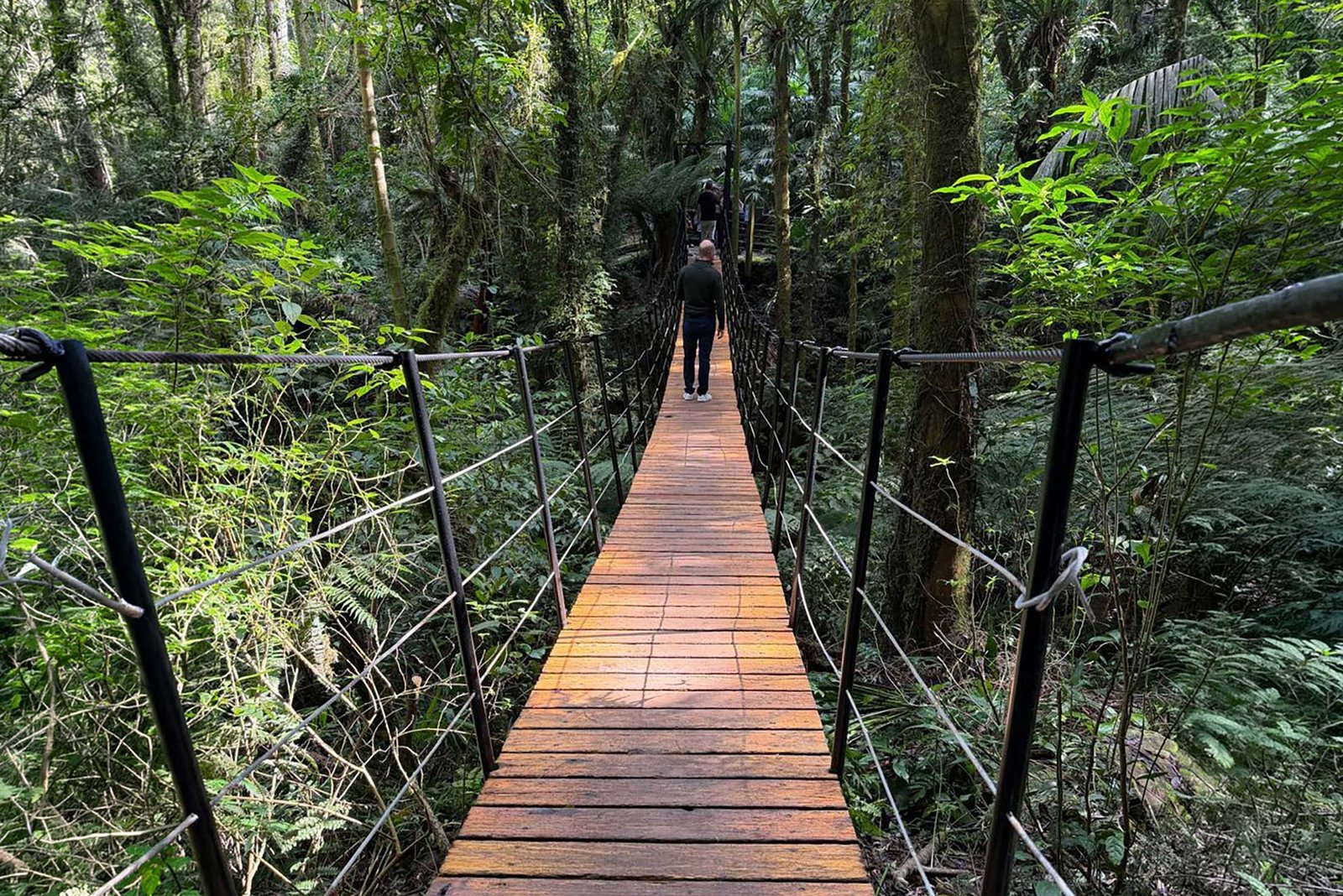 Ponte pênsil suspensa sobre a mata no Garden Park Gramado